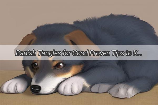 Banish Tangles for Good Proven Tips to Keep Your Dogs Coat KnotFree